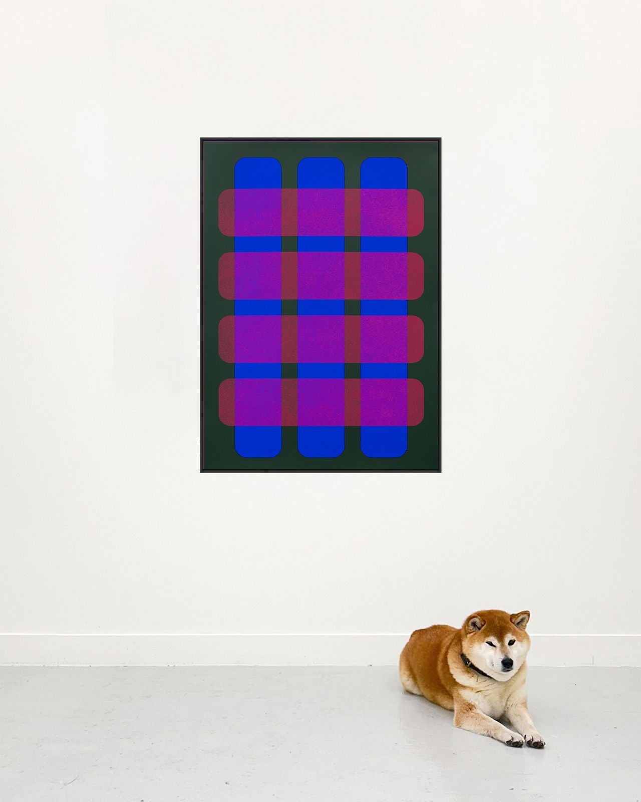 Valentina Canseco - "Matrice 4"