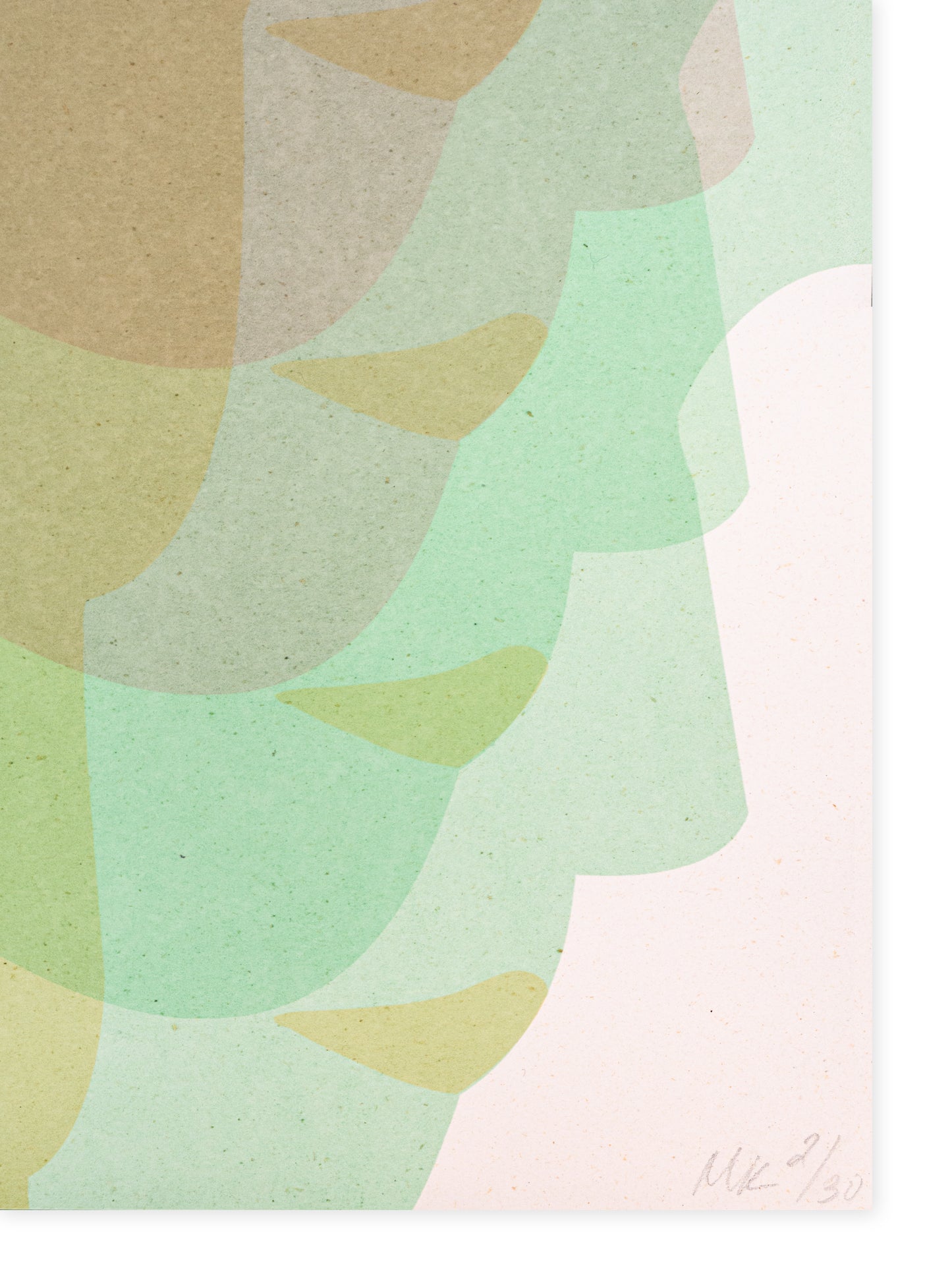 Marina Kappos - "Efflorescence"