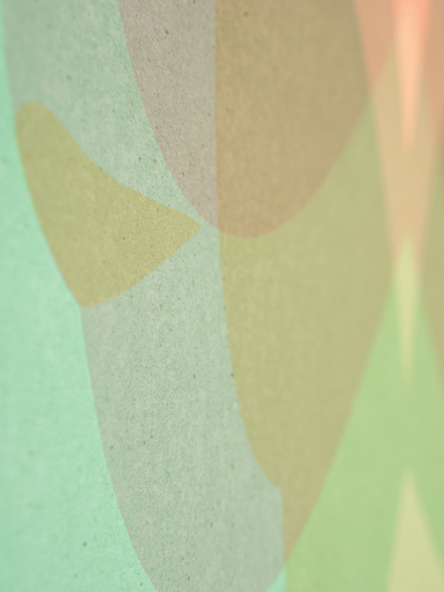 Marina Kappos - "Efflorescence"