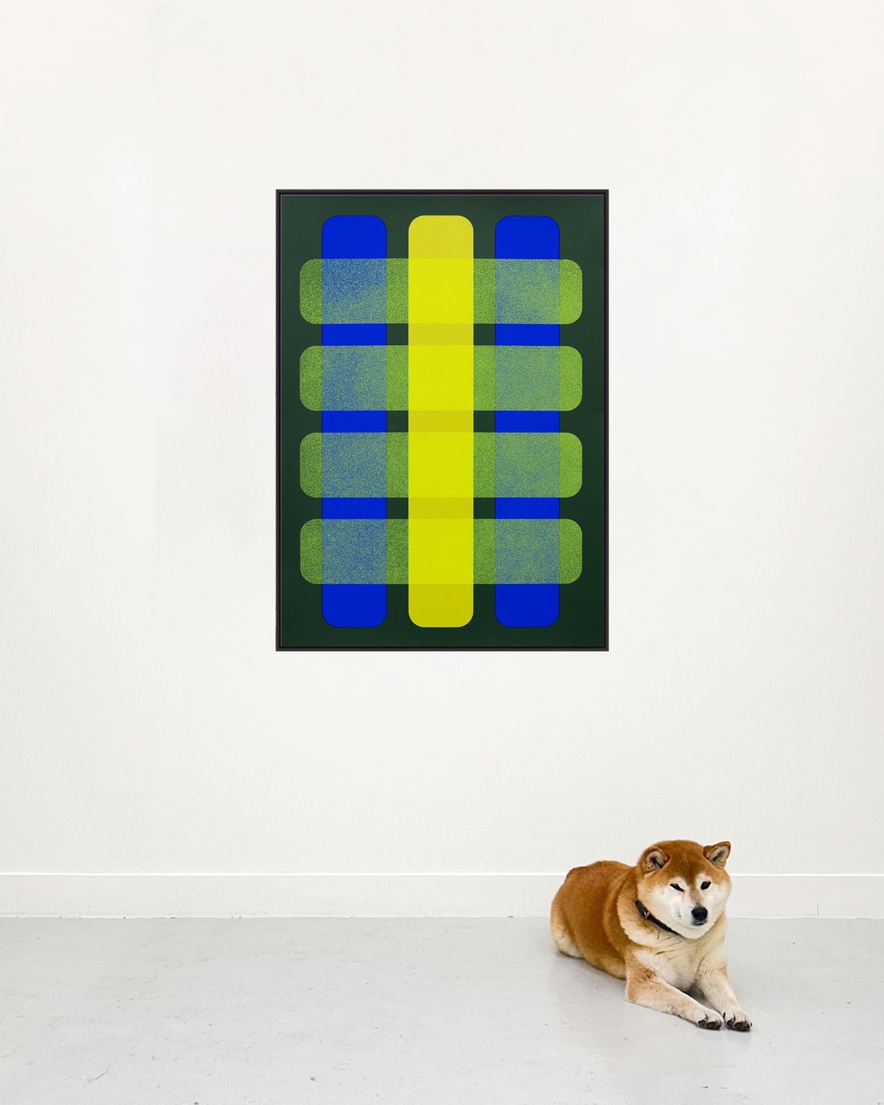 Valentina Canseco - "Matrice 11"