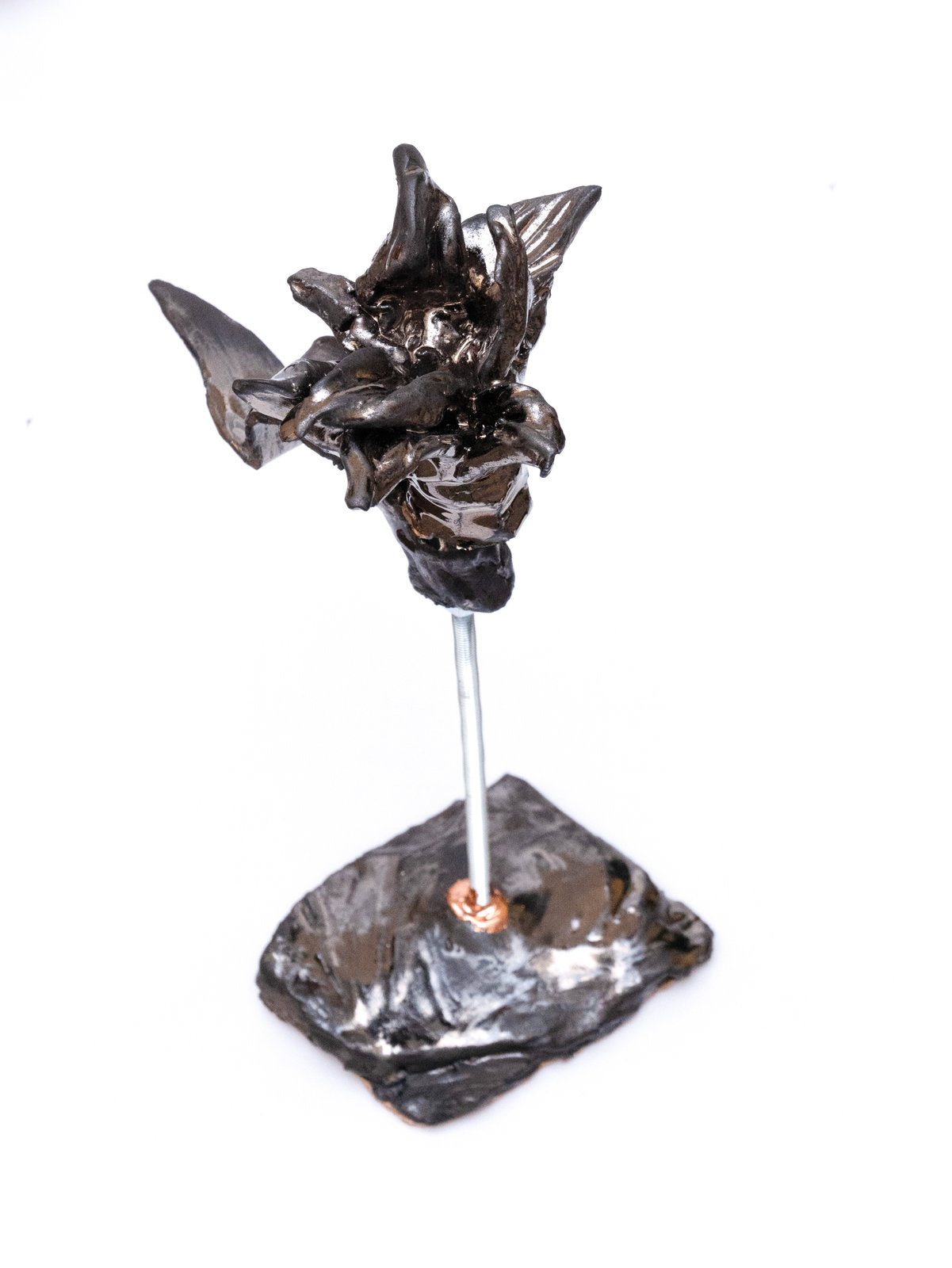 Sylvia Pires Da Rocha - Fleur sur tige 2