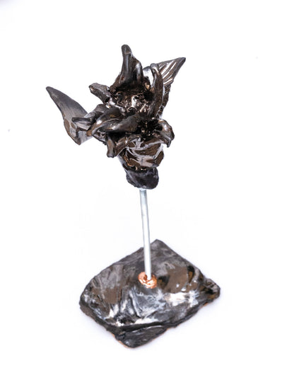 Sylvia Pires Da Rocha - Fleur sur tige 2
