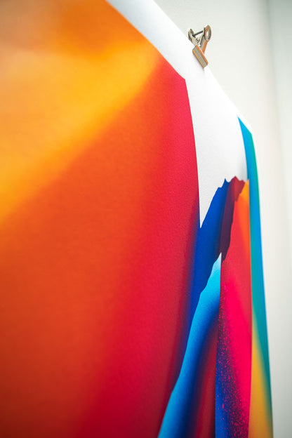 Arnaud Liard - "Bird 2"