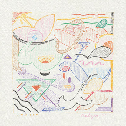 Pieter Ceizer "Destin"
