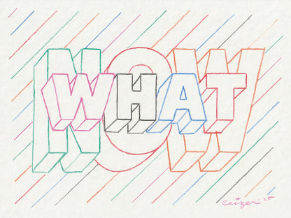 Pieter Ceizer "What Now"