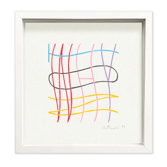 Pieter Ceizer "Why Not"