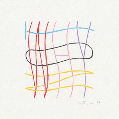 Pieter Ceizer "Why Not"
