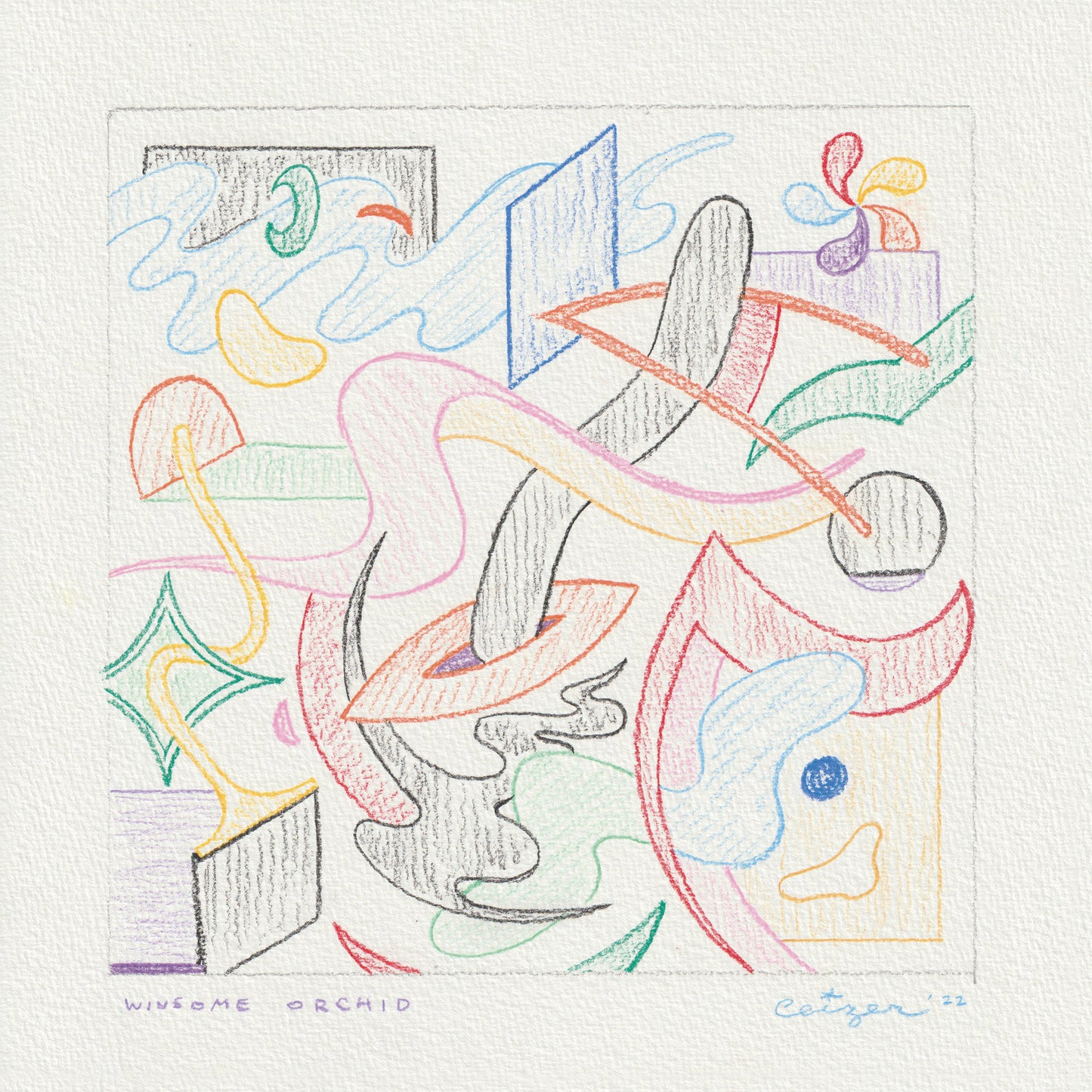 Pieter Ceizer "Winsome Orchid"