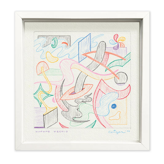 Pieter Ceizer "Winsome Orchid"